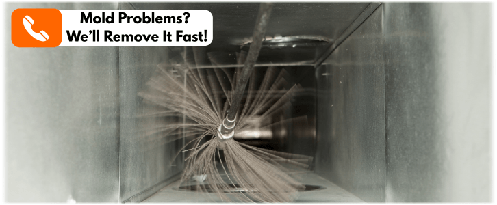 Air Duct Mold Removal in Frisco TX